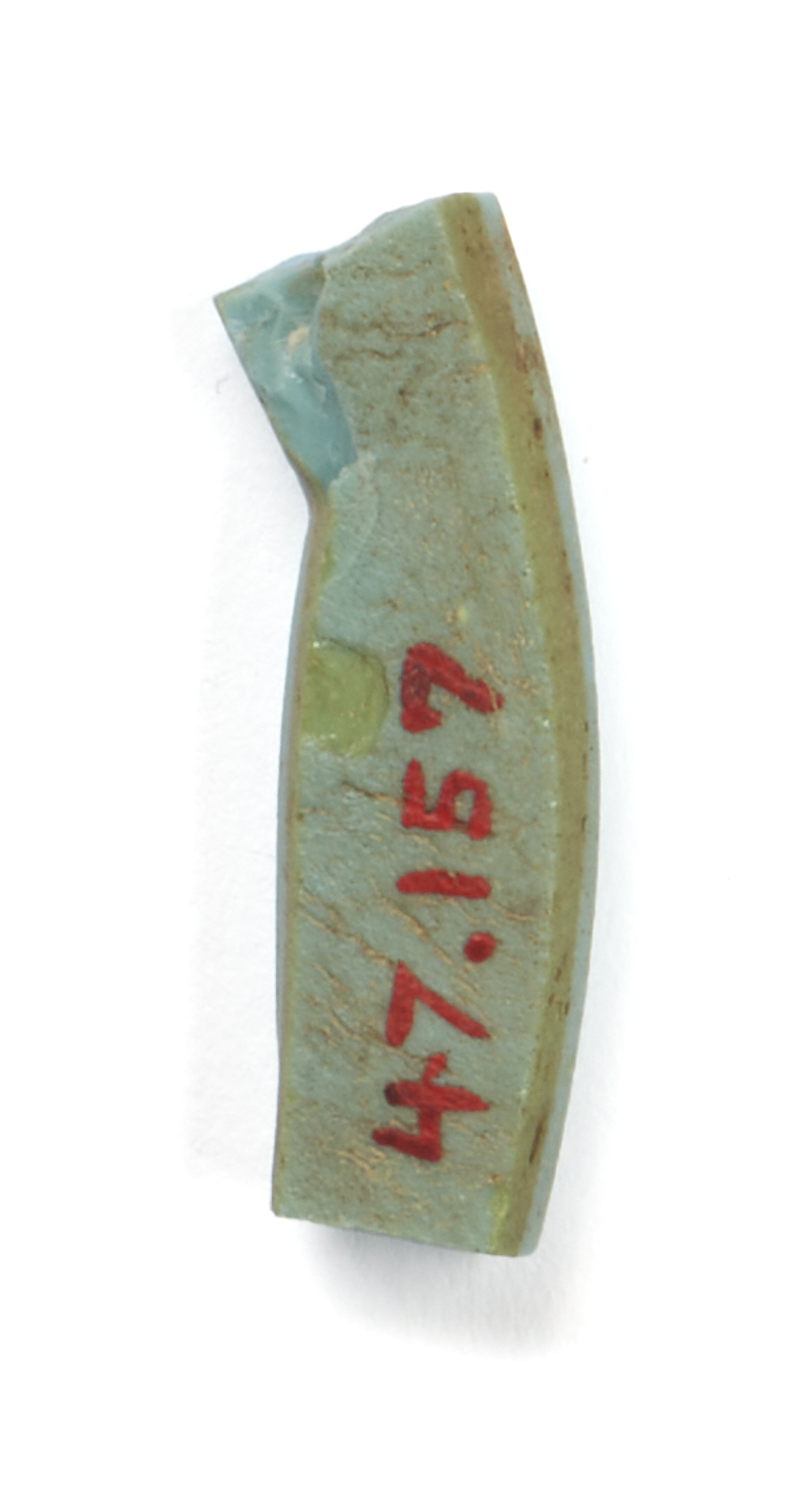 Image for Inlay Fragment of an Arm